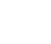 Laur Opineo 2020